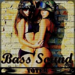 VA - toTem - Bass Sound vol.1 (2011) MP3