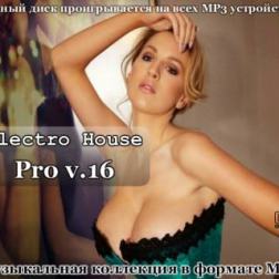 VA - Electro House Pro V.16 (2013) MP3