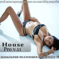 VA - House Pro V.11 (2013) MP3