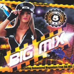 VA - Big Mix 5 - Special Edition (2013) MP3