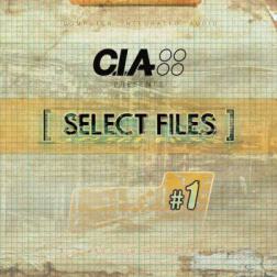 VA - Select Files #1 (2015) MP3