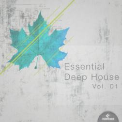 VA - Essential Deep House Vol 01 (2014) MP3