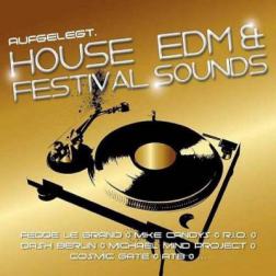 VA - Aufgelegt. House, EDM and Festival Sounds (2014) MP3