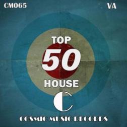 VA - Top 50 House (2013) MP3