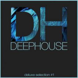 VA - Deep House DeLuxe Selection #1 Best Deep House House Tech House Hits (2015) MP3