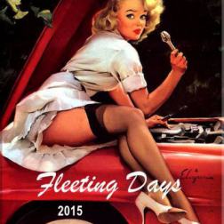 VA - Fleeting Days (2015) MP3