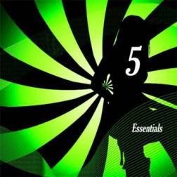 VA - Essentials 5 (2016) MP3