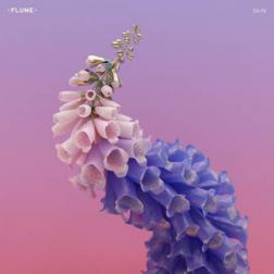 Flume - Skin (2016) MP3