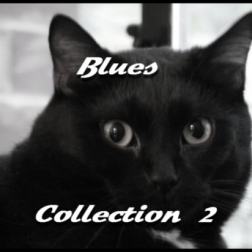 VA - Blues Collection 2 (2016) MP3
