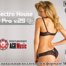 VA - Electro House Pro V.25 (2013) MP3