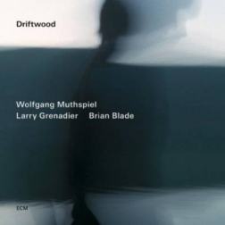 Wolfgang Muthspiel, Larry Grenadier & Brian Blade - Driftwood (2014) MP3