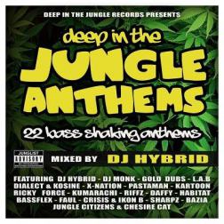 VA - Deep In The Jungle Anthems (2015) MP3