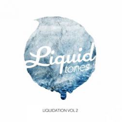VA - Liquidation 2 (2015) MP3