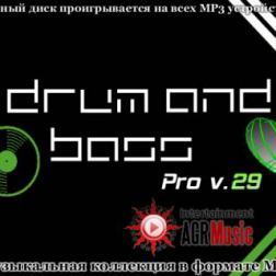 VA - Drum and Bass Pro V.29 (2014) MP3