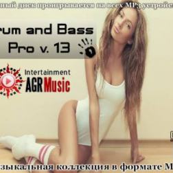 VA - Drum and Bass Pro V.13 (2013) MP3