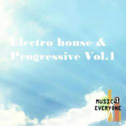 VA - Music For Everyone - Electro house & Progressive Vol.2 (2014) MP3