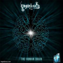 Geko - The Human Brain (2010) EP MP3