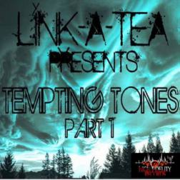 VA - Link-A-Tea Tempting Tones Pt. 1 (2014) MP3