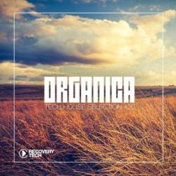 VA - Organica #20 (2015) MP3