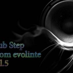 VA - Dub Step from evolinte vol.5 (2011) MP3