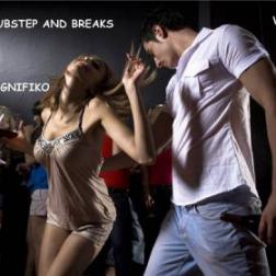 Dubstep and Breaks. Vol 14 (2013) MP3