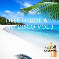 VA - Music For Everyone - Deep House & Nu Disco Vol.3 (2015) MP3