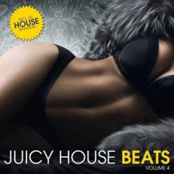 VA - Juicy House Beats Vol 4 (2015) MP3