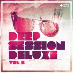 VA - Deep Session Deluxe Vol 3 (2014) MP3