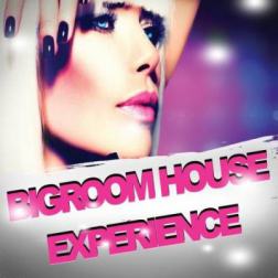 VA - Bigroom House Experience (2014) MP3