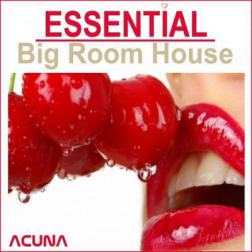 VA - Essential Big Room (2014) MP3