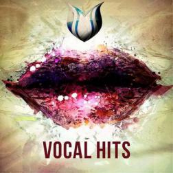 VA - Vocal Hits (2015) MP3