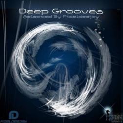 VA - Deep Grooves Selected by Fideldeejay (2015) MP3