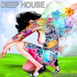 VA - Deep House Sensation (2014) MP3