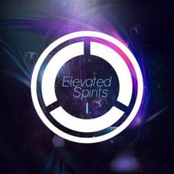 VA - Elevated Spirits I (2015) MP3