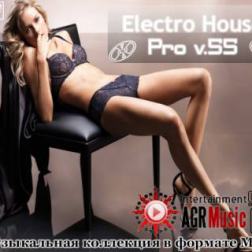 VA - Electro House Pro V.55 (2014) MP3
