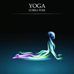 VA - Yoga Lessons Vol 3 Cobra Pose Essential Chill out and Ambient Moods of Meditation (2015) MP3