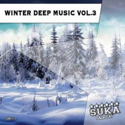 VA - Winter Deep Music Vol.3 (2015) MP3