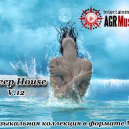 VA - Deep House V.12 (2014) MP3