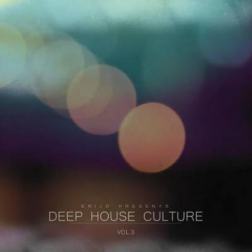 VA - Deep House Culture Vol. 3 (2014) MP3