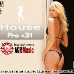 VA - House Pro V.31 (2013) MP3