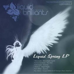 VA - Liquid Spring LP (2012) MP3