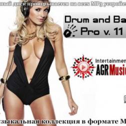 VA - Drum and Bass Pro V.11 (2013) MP3