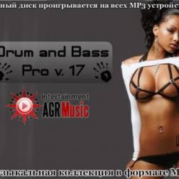 VA - Drum and Bass Pro V.17 (2013) MP3