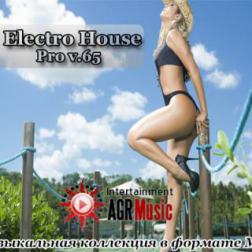 VA - Electro House Pro V.65 (2014) MP3