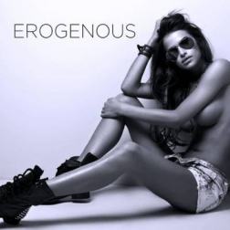 VA - Erogenous (2014) MP3
