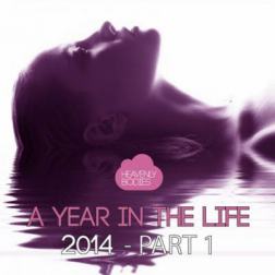 VA - A Year in the Life of Heavenly Bodies 2014, Pt. 1 (2014) MP3