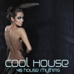 VA - Cool House (40 House Rhythms) (2014) MP3
