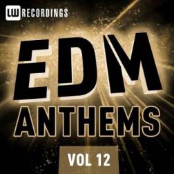 VA - EDM Anthems Vol.12 (2015) MP3
