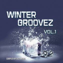 VA - Winter Groovez Vol. 1 (2015) MP3
