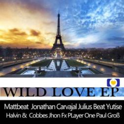 VA - We Love Music Records - Wild Love EP (2015) MP3